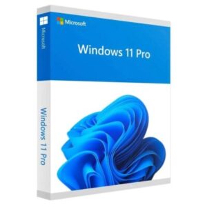 Microsoft Windows 11 Professional Instant Delivery
