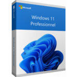 Microsoft Windows 11 Professional Product